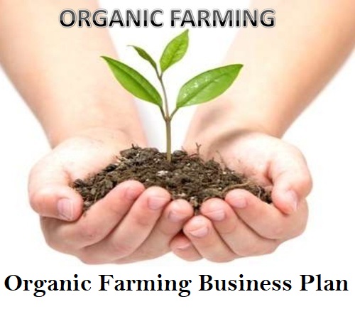 Organic Farming Business Plan Investments Profits