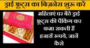 dry-fruit-packing-business-in-hindi